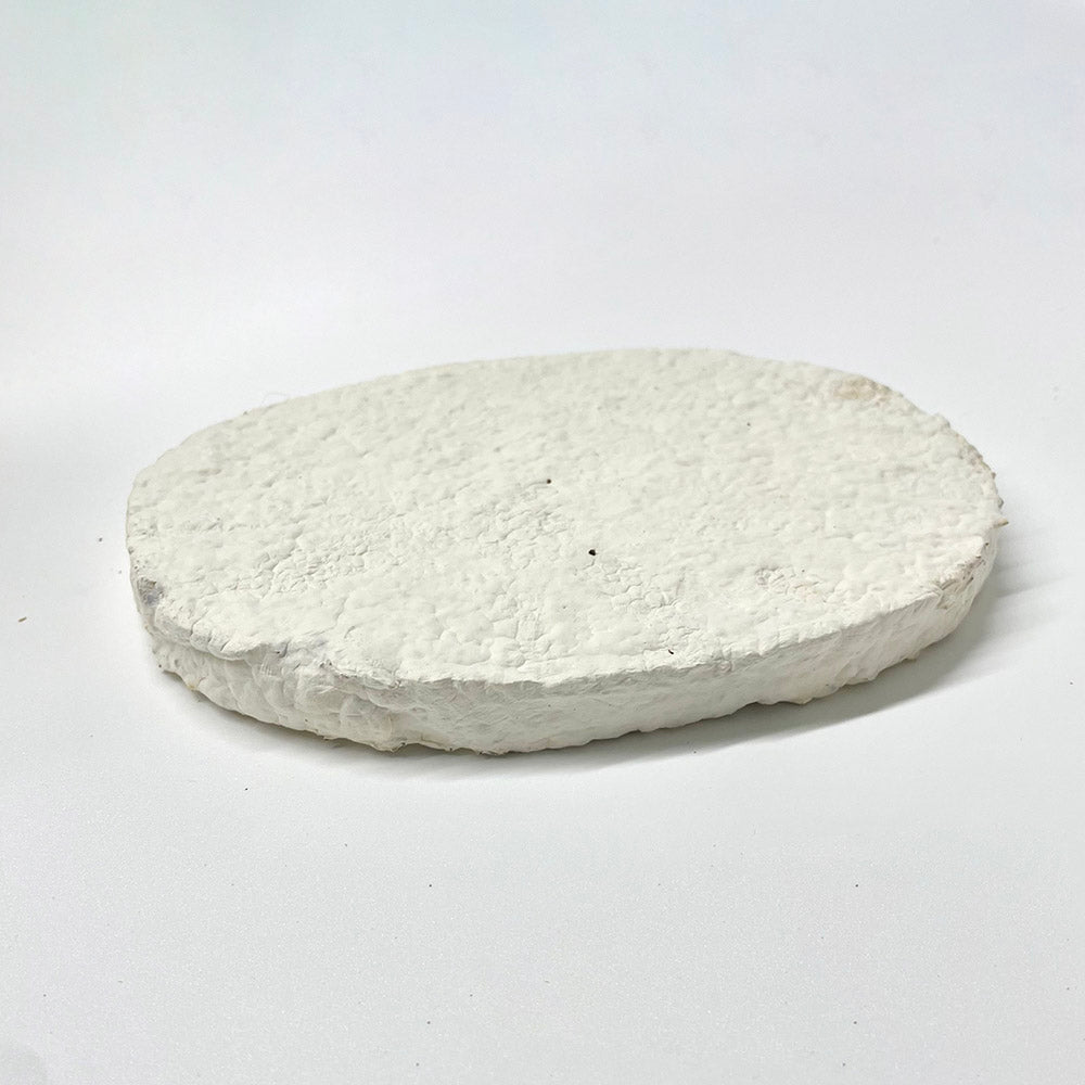 Sample Of Mycelium Parts #2