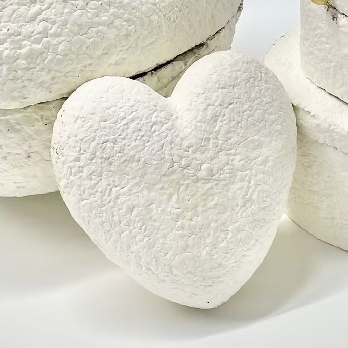 Mycelium Material Heart