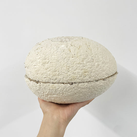Mycelium Pet Urn