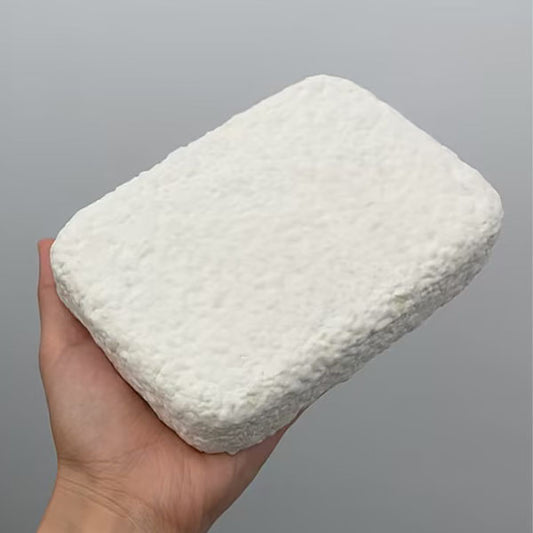 Sample Of Mycelium Parts