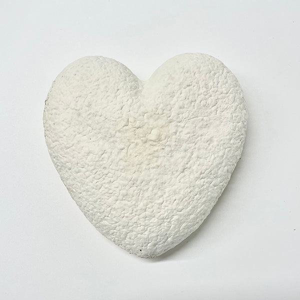 Mycelium Material Heart