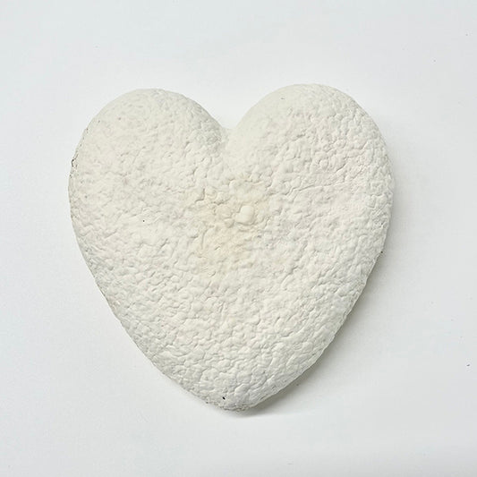 Mycelium Material Heart